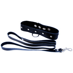 Cuir laisse et le collier